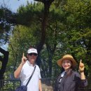 완산-42 이미지