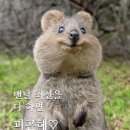 세종자동차정비공업사 이미지