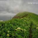 청량재가장기요양복지센터 네이버블로그