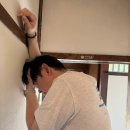 (강릉 여행기_4) 주문진항 근처 강아지랑 함께 방문할 수 있는 카페 하월지 방문 후기