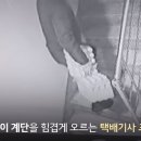 “택배 못 받아” 거짓말 신고했더니…생수 240㎏ 배달시킨 고객 이미지