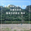 다슬기 유치원 | [홍천 비발디파크 근처 가볼만한곳] 팔봉산관광지 계곡 : 다슬기 잡기
