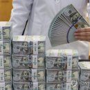 (야간, 금) 커피 아카데미 이미지