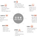대한공인행정사사무소 이미지