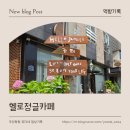 장유 신상카페 헬로정글 다녀온 솔직 후기｜식물 가득한 힐링 공간