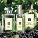 프레시베이 이미지