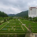 켄싱턴 호텔 평창 글램핑 빌리지 이미지