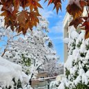 관악중학교 이미지