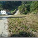 경서대로 이미지