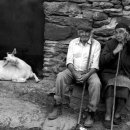 염소한마리 이미지