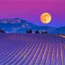 당신이 있어 좋은세상 이미지