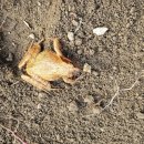 이레농장 2 이미지