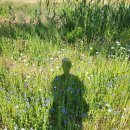 예술대학로2길 이미지