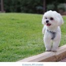 태란 펜션 이미지