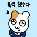 차차차 이미지