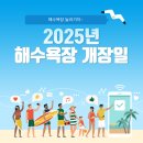 율포솔밭해수욕장 관광안내소 | 2025년 전국 해수욕장 개장일 총정리! 여름 바다 여행 꿀팁까지
