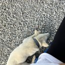 장순농장 이미지