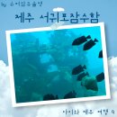 제주 서귀포잠수함 예약 소요시간 폐소공포증 제주 아이랑 이색 체험