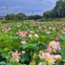 세종공원 이미지