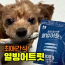 펫120 | 마도로스펫 열빙어트릿 후기 | 눈 뒤집히는 기호성