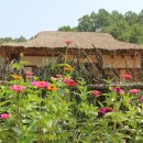 영주수도리김정규가옥 이미지