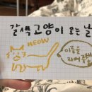 현풍 동물병원 이미지