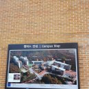 용인한국외국어대학교부설고등학교 이미지