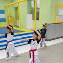 경희대아이스타태권도 이미지