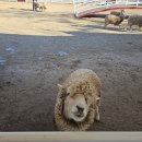 유찬목장 이미지