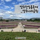 별산삼겹살 | 양주 천만송이 천일홍축제 꽃과 함께한 시간