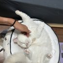 하슬라 스크린(홍제점) | 쉴 틈 없이 달린