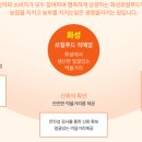 농민마트향남 주식회사 | 화성시 로컬푸드 직판장 후기｜신선한 제철 먹거리 구입 꿀팁