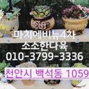 소소한다육농원