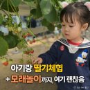 세모바다 펜션 | 대부도 그린티플 아기랑 후기 | 딸기체험보다 모래놀이를 더 오래 했어요