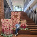 내돈내산 청주 빨간식빵 &#39;포이드캐롯&#39; 주말 일요일 오픈런 후기!(+주차, 포토존)