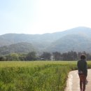 힐링도원 이미지