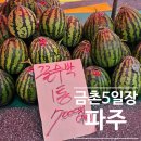 GS25 파주금촌점 | 금촌 5일장 장날 언제? 영업시간부터 주차, 먹거리까지 직접 다녀온 후기