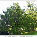 성내리 비석군 이미지