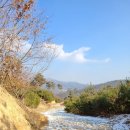 용문산 은행나무길(물소리길 6코스) 이미지