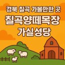 소망목장 | 경북 칠곡 가볼 만한 곳 칠곡양떼목장&amp;가실성당, 9개월 아기도 좋아할까?
