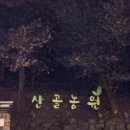 천왕농원 | [경기/가평] 산골농원 솥뚜껑닭볶음탕, 이영자 맛집 &amp; 백종원 3대천왕 내돈내산 솔직리뷰