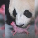 자연-탄생 이미지