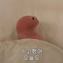 크로스핏 지구 이미지