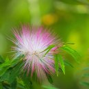 춘천한방한의원 이미지