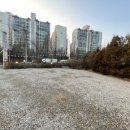 힘센 민물장어 이미지