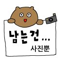 꾸워봐 | 포천 한탄강 캠핑장 추천/호랑이캠핑장 한탄강점 솔직 후기