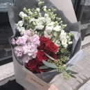 플레르하나 이미지