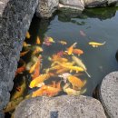 사)올로프팔메국제평화재단 | [공지] [2025 제주포럼 청년사무국 6기] #12. 찐찐찐최종_제주포럼_마무리_zip: 제주포럼 청년사무국...