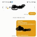 금화안경 이미지