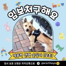 오초 Daum카페